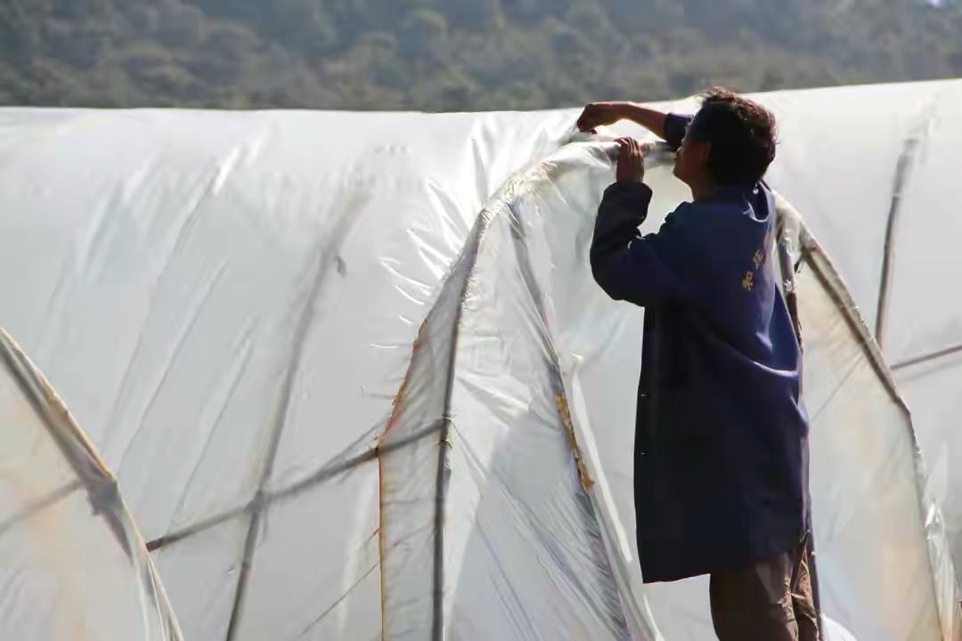 西瓜增加甜度的方法,怎样提高西瓜的甜度