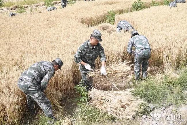 扶贫故事延续,扶贫故事纪录片