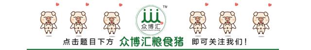 亚健康怎么调理恢复快吃什么,亚健康人群每日需要补多少硒