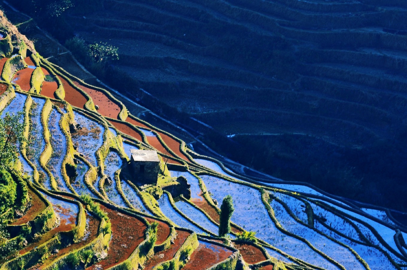 5月份去云南攻略,五月去大理与版纳