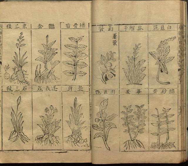 李时珍与本草纲目ppt课件,神农本草经正版李时珍书籍