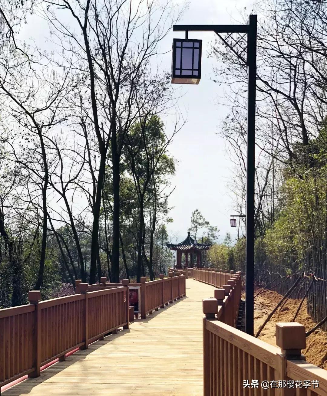 马祖岩人文公园大概多少公里,马祖岩人文公园夜光路