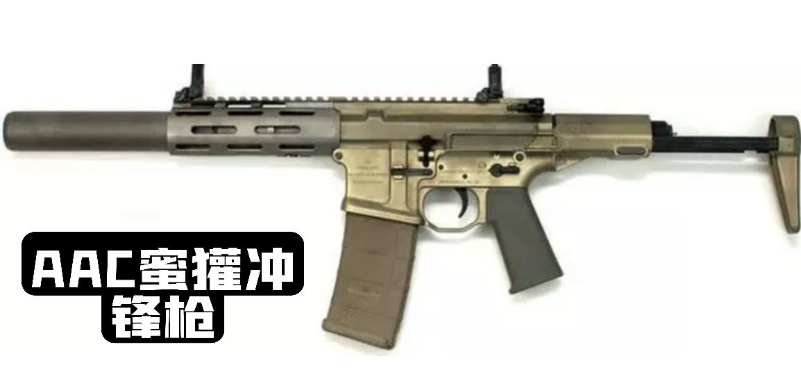 美国1983年的枪械大全,19世纪美国枪械史五