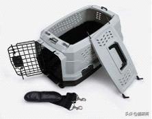 猫咪航空托运全面解析铲屎官必看,八大航空公司针对托运猫咪要求