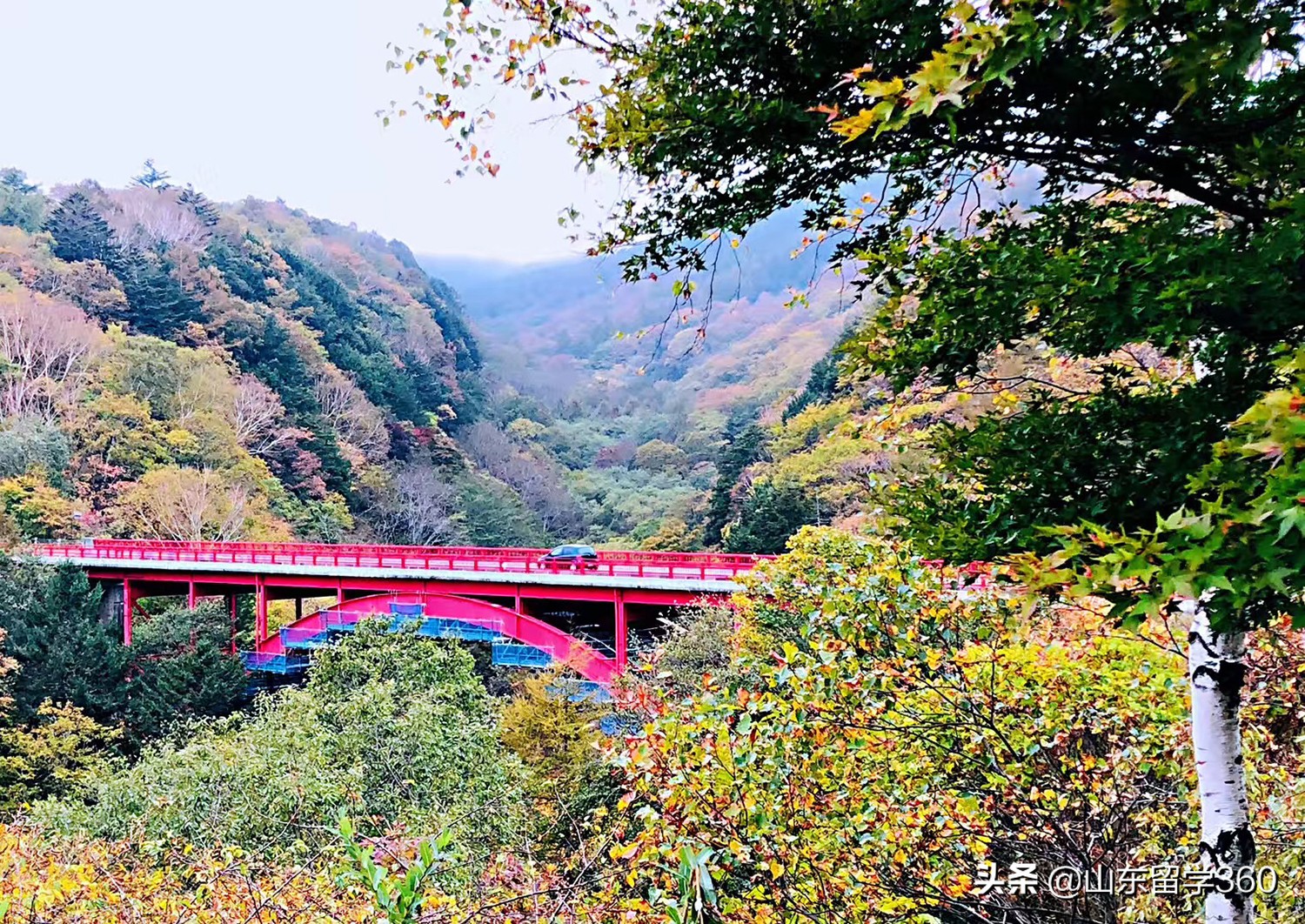 日本留学行李准备攻略,日本留学关注事项