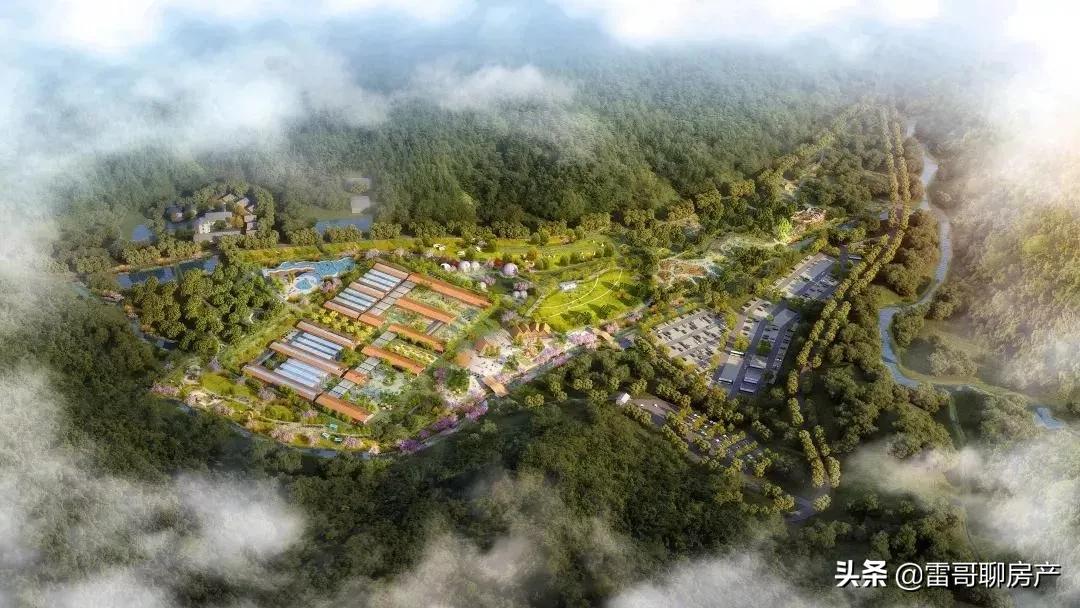 大局已定惠州横沥在哪呢,大局已定2020