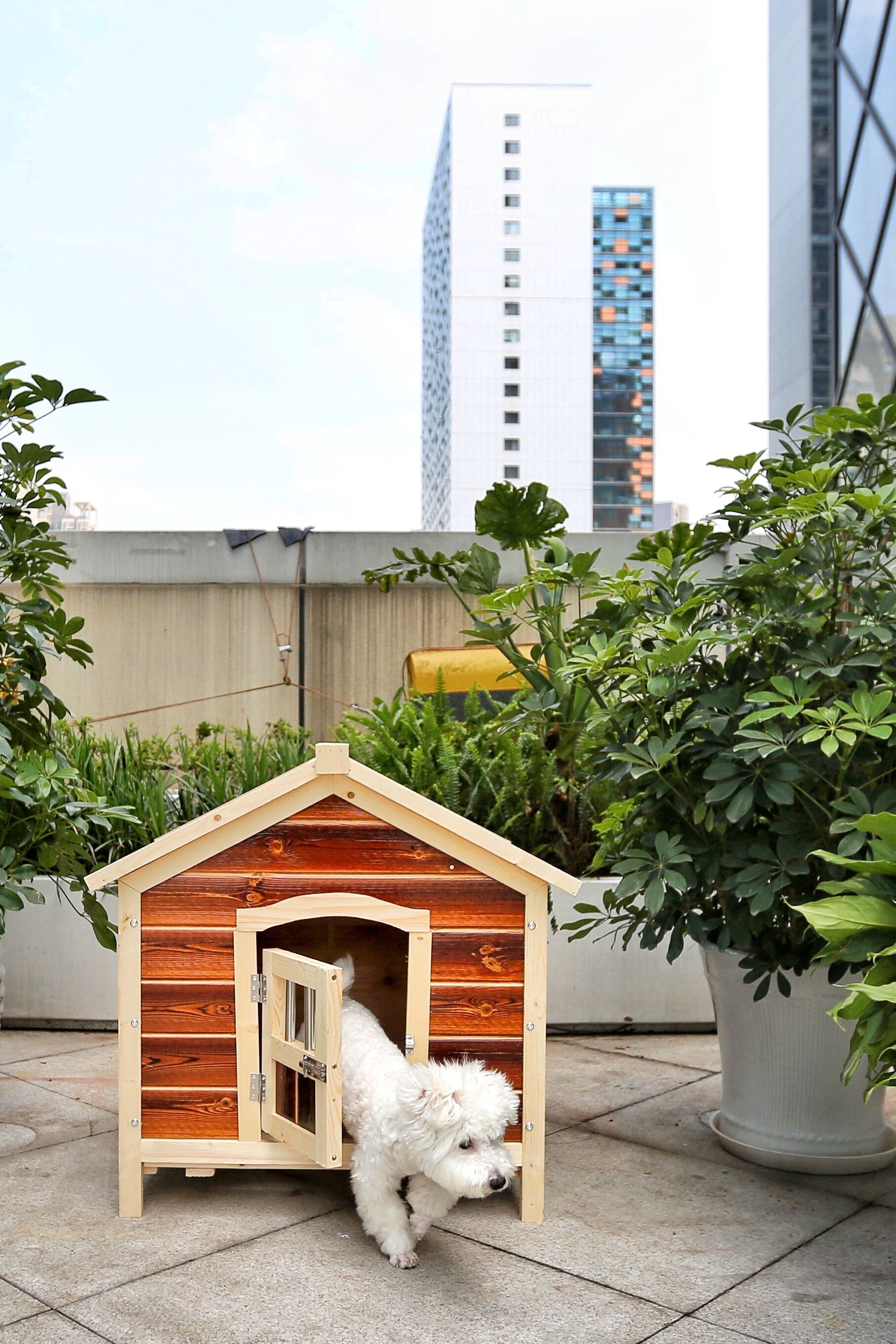 任性的重庆渝融豪生：坐落三轨之上，便捷扫街购物，允许携带宠物