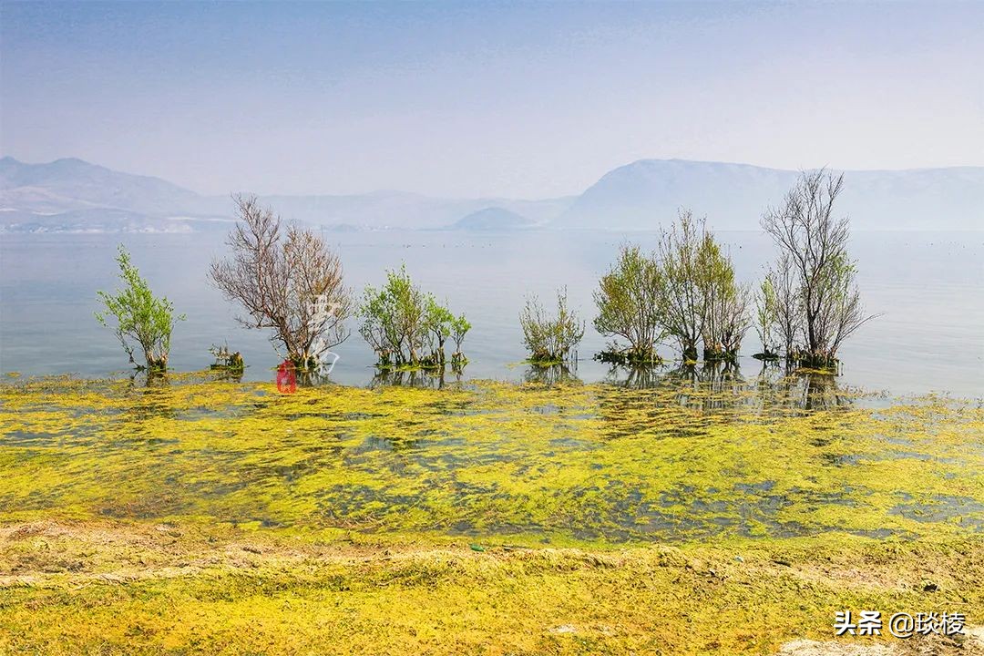 洱海并不是海，环海最美的一段其实是这里，你去对了吗？