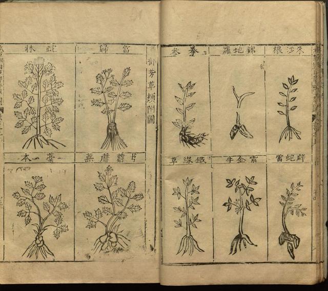 李时珍与本草纲目ppt课件,神农本草经正版李时珍书籍