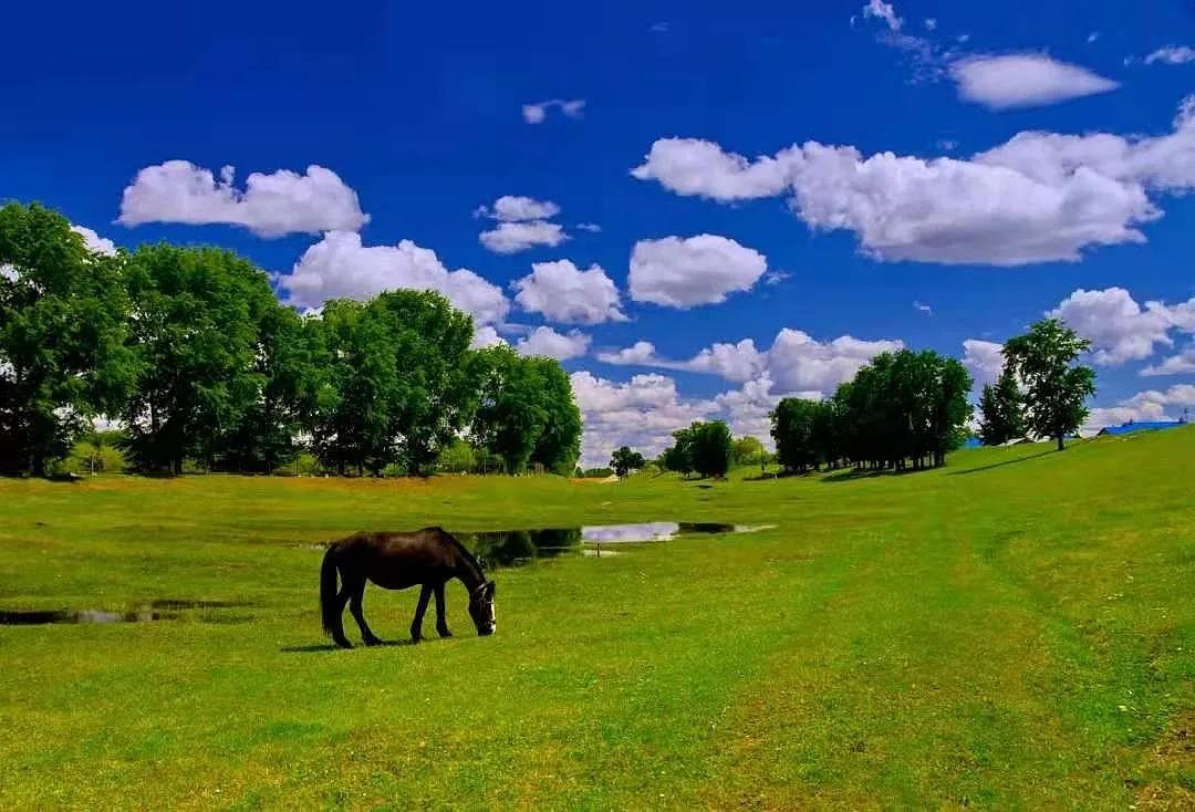 黑河挨着哪里,黑河远方文学