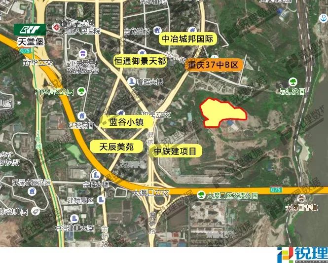 房地产接到客户投诉房子漏水,业主发现房产漏水