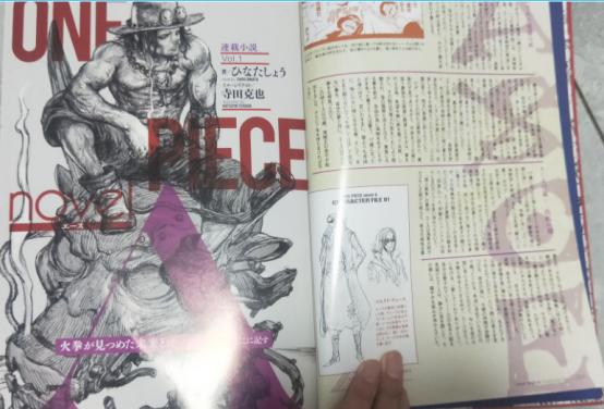 海贼王书籍推荐,海贼王怎么推荐新人看