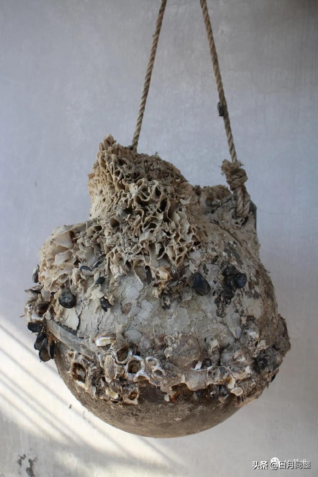 往事丨1992年，他们在武汉策划了一次消毒艺术运动