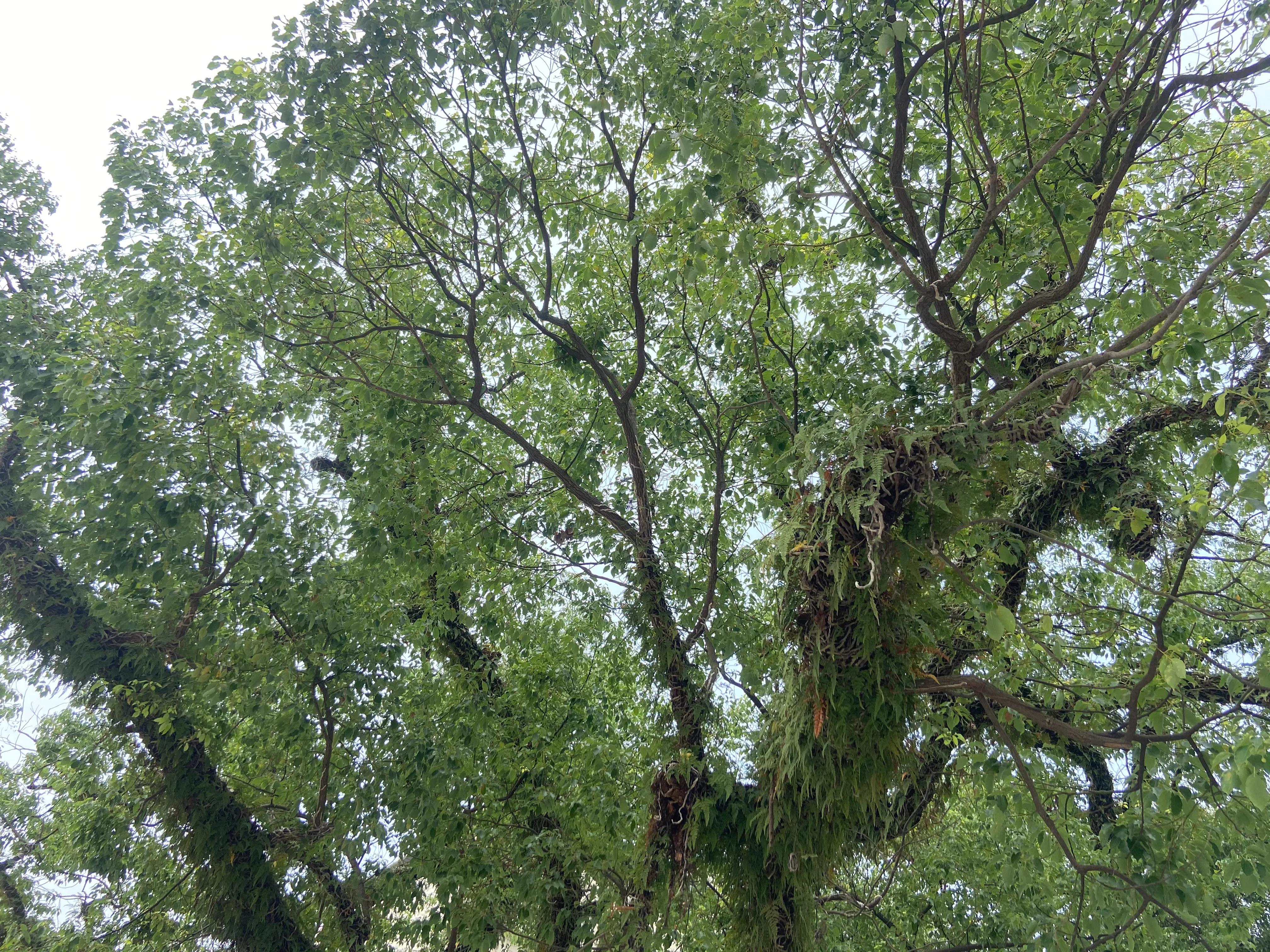 吃一堑长一智歌曲,吃一堑长一智的句子