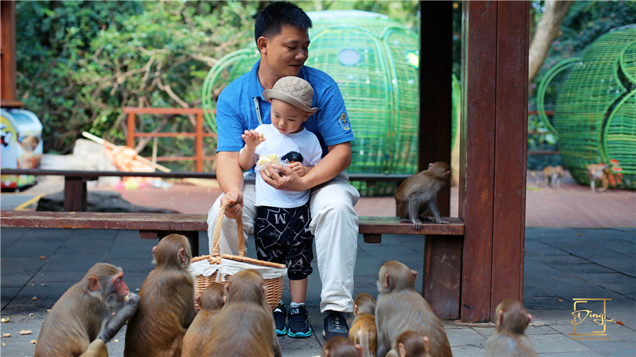 海南猴岛旅游自由行攻略,海南猴岛和呆呆岛攻略