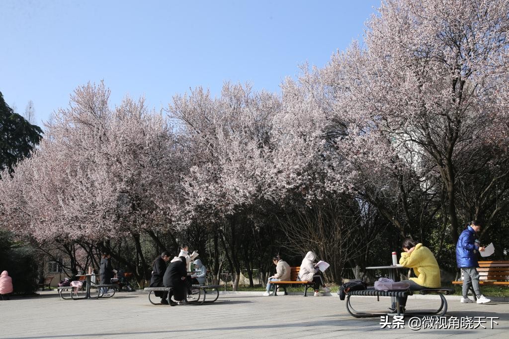 信阳师范学院：回眸但觉烟色浅，不知春意入师院