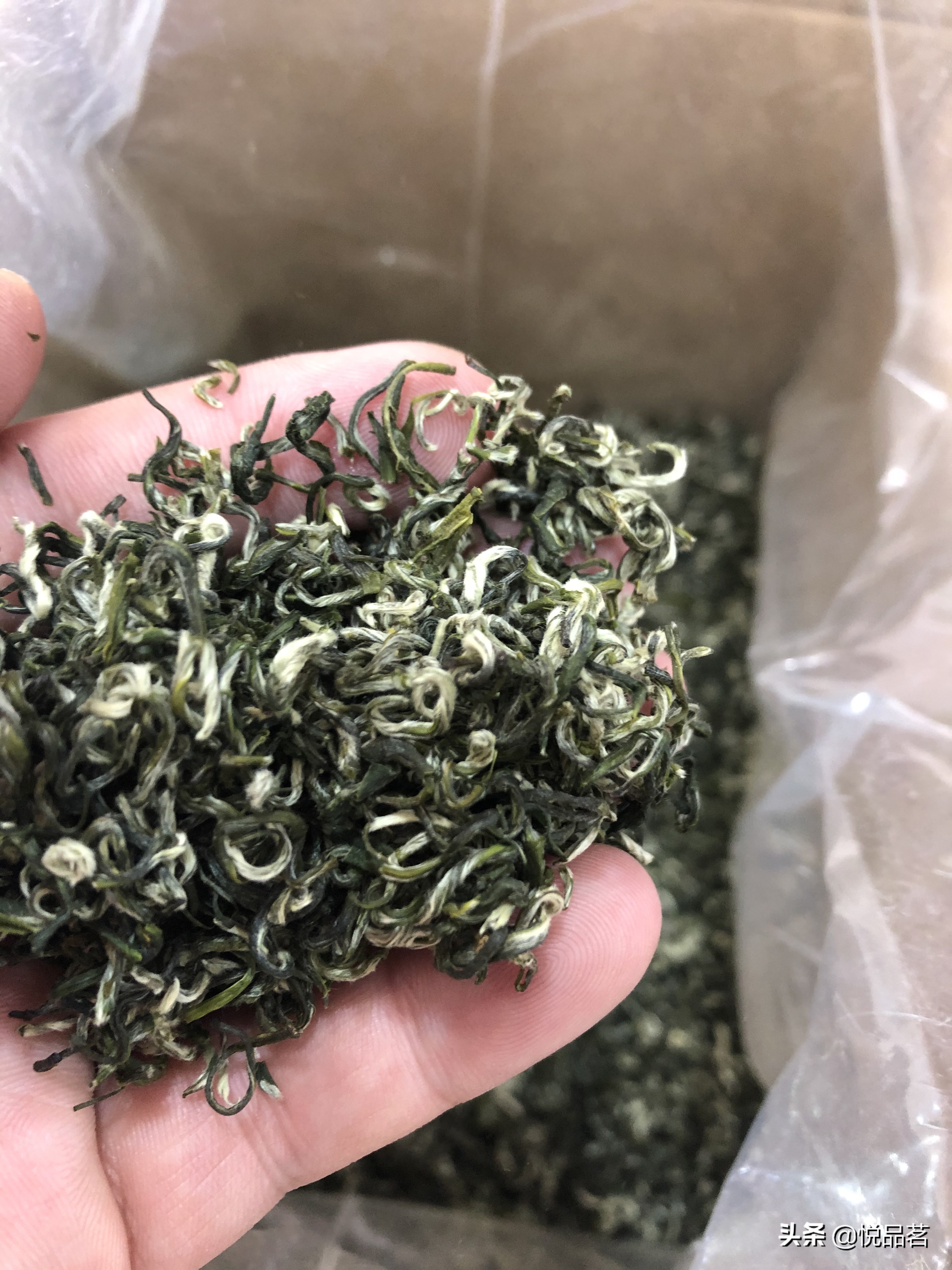 都匀毛尖茶叶是十大茗茶吗,都匀毛尖在十大名茶排名第几