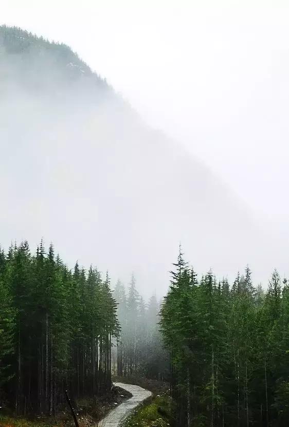 这才是正确的打开方式视频素材,手机的长焦镜头怎么打开