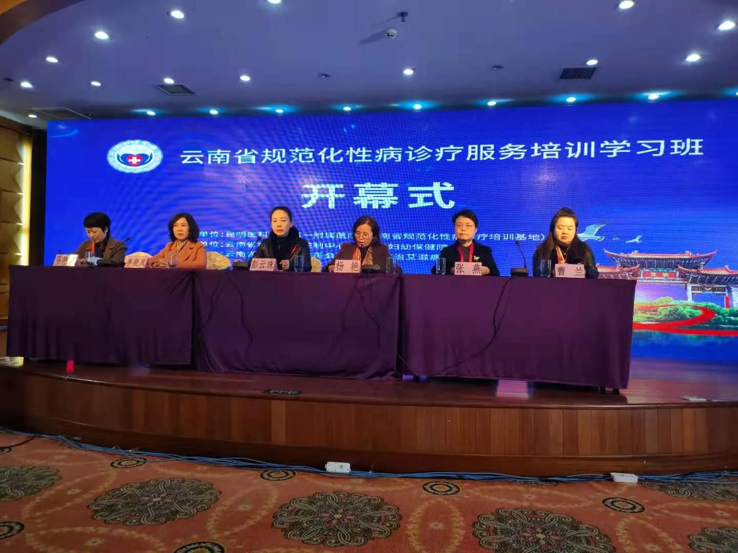 全国专家齐聚，助力云南性病艾滋病防控