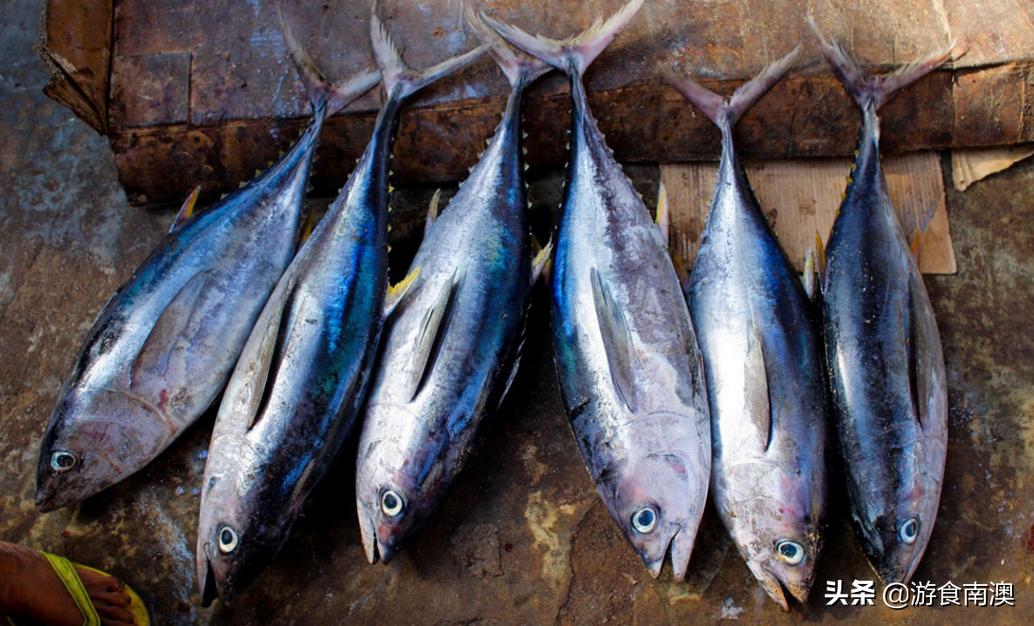 常见海鱼哪些好吃,常见的5种海鱼营养价值高