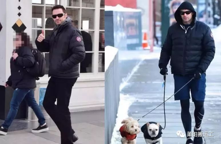 迷彩加拿大鹅多少钱一件,真正的加拿大鹅怎么样