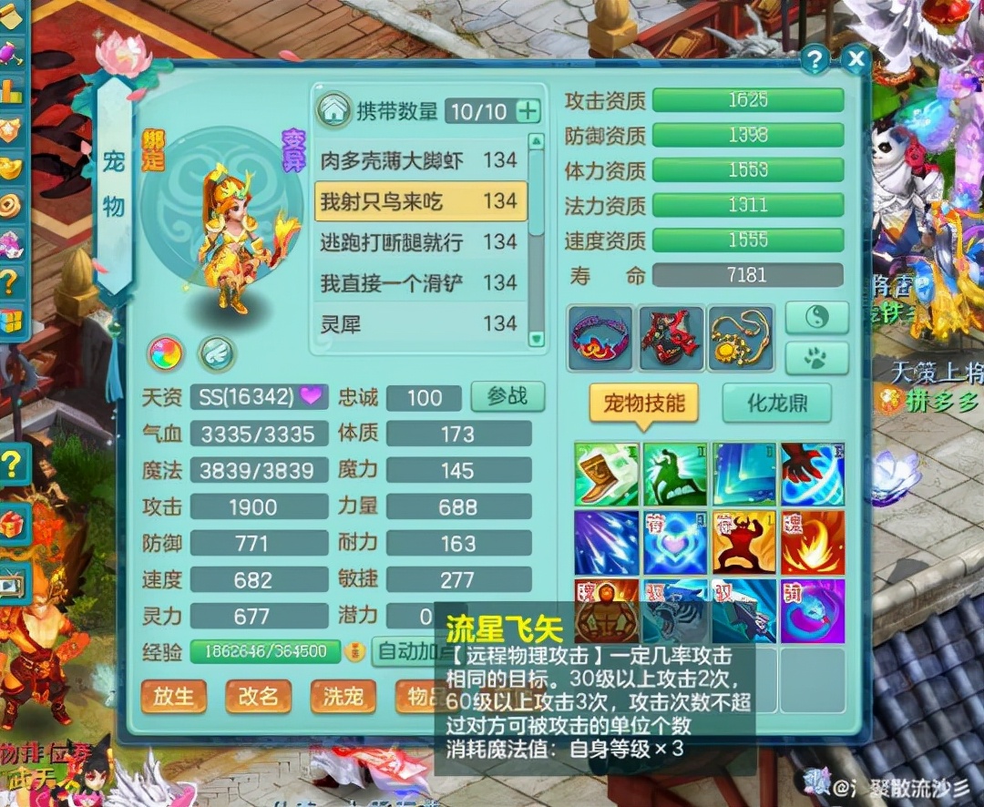 20万神武币都不用？压制敏攻*力暴**宠，高难日常首发冲击宠打造