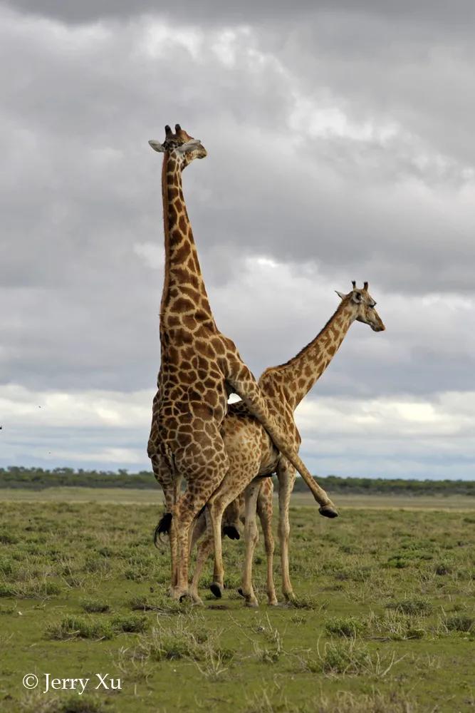 情人节，就该和爱的人*爱做**做的事