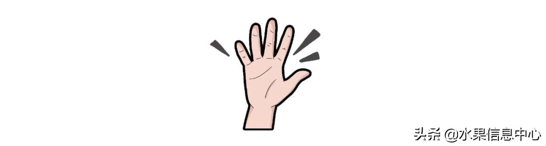 水果批发市场卖水果怎么收费,新手去水果批发市场的几大技巧