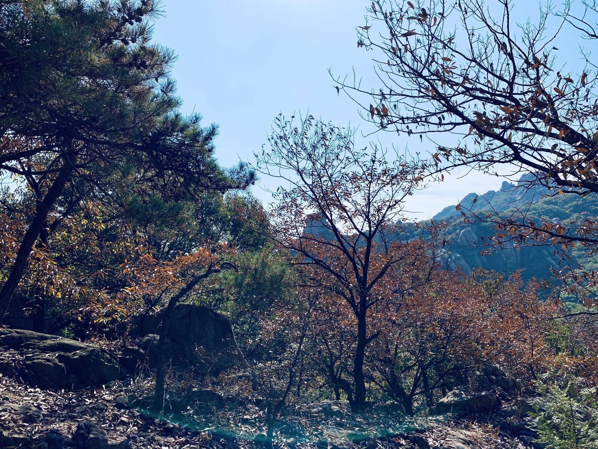 有山有水民宿原生态旅游,有山有水有云民宿名字