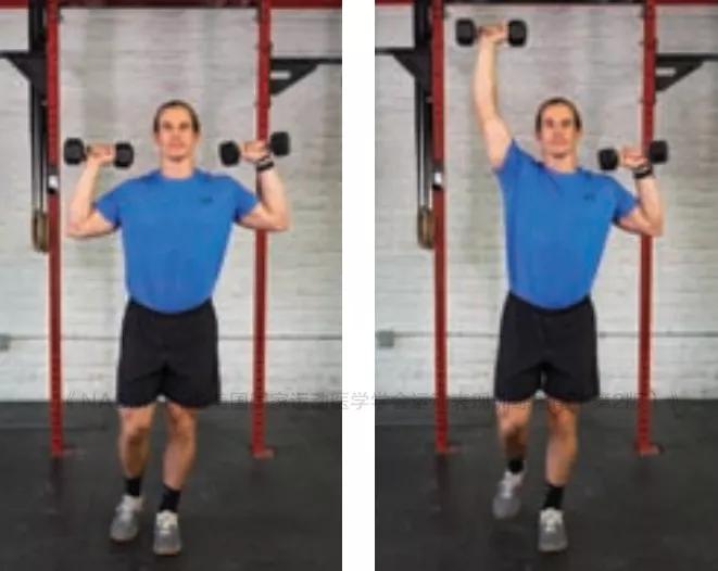 乒乓球左手直拍教学国球汇,乒乓球中的10个打球小技巧