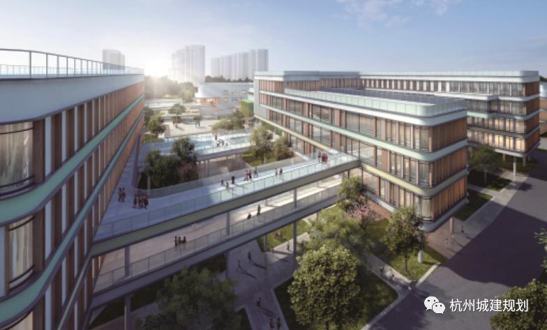 崇贤规划几个小学,余杭区崇贤规划图