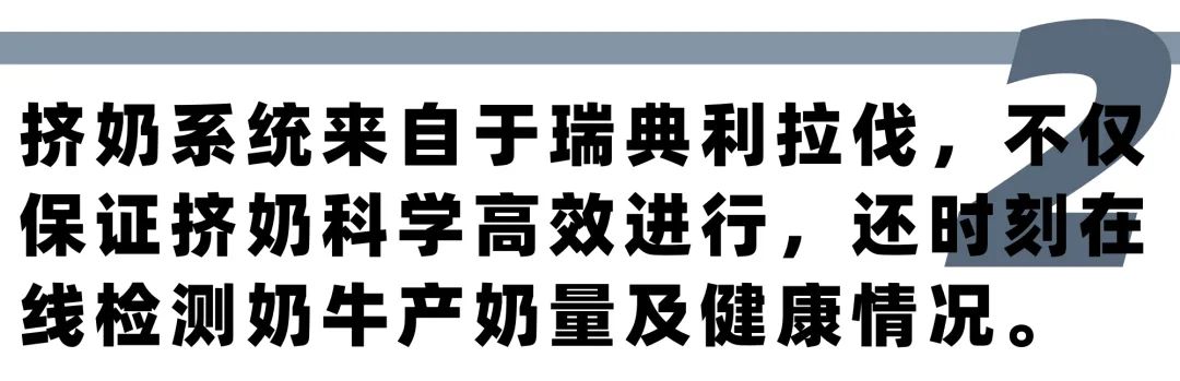 蒙牛质量,蒙牛品质回顾