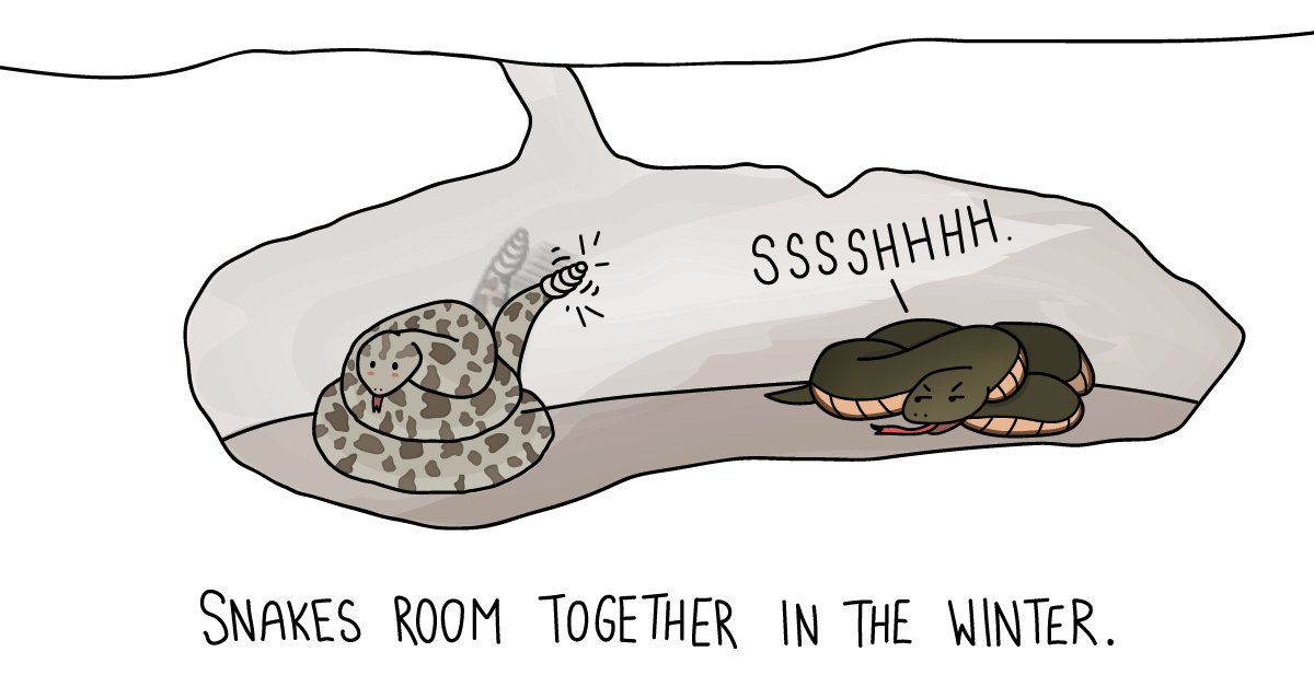 世界上最厉害的巨蟒蛇是什么蛇,世界上最大的巨蟒蛇大约多少米