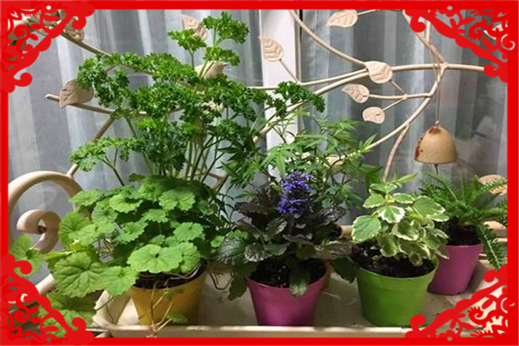 现在投资十万元做什么能挣钱,5万块钱投资适合做什么生意