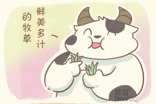 如何辨别悠蓝真伪这些方法要知道