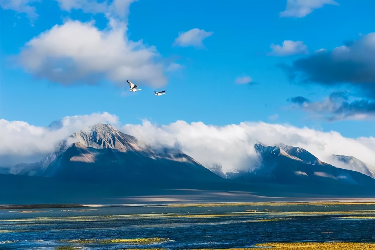 2022年藏北执行什么任务,藏西南工程