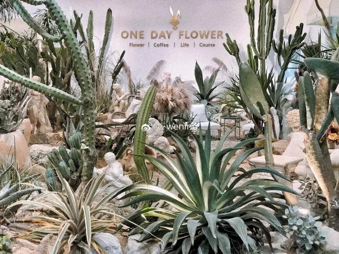 福州复古咖啡探店,福州高逼格咖啡店