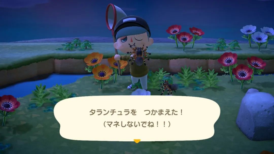 动物之森小裙子,动物之森设计和服