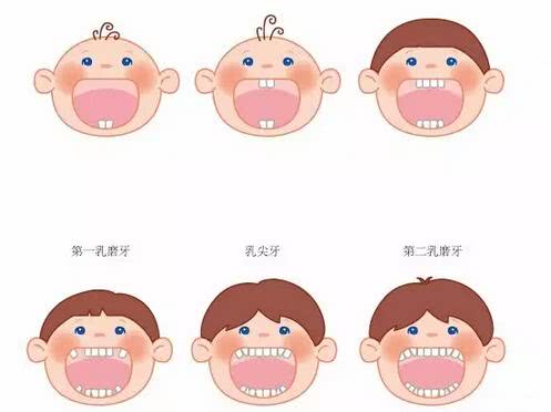 乳牙停留怎么缓解,乳牙停留了解一下