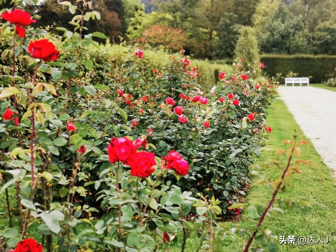 跟着小天去旅行,跟着小天玩游戏