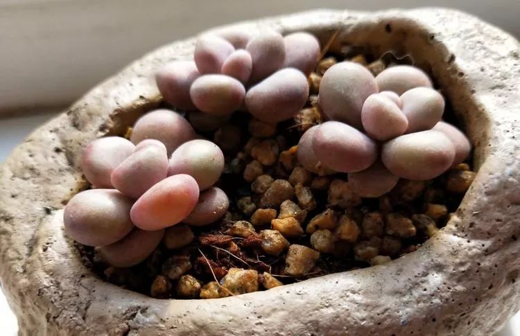 大四老学姐的寝室生活,养肉路上的真实感受