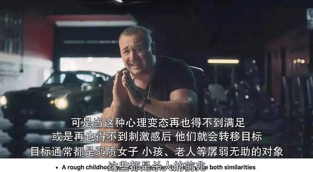 大学生杀死流浪猫,大学生杀流浪猫