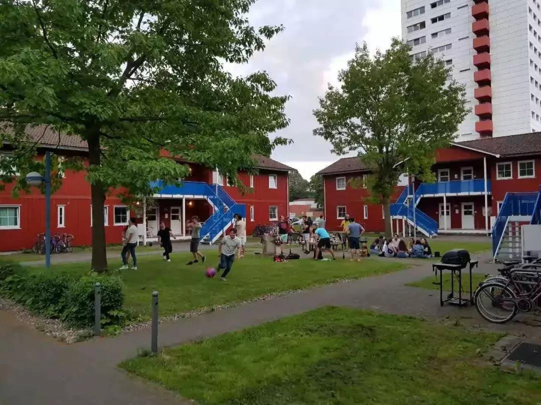 德国留学之与德国人的宿舍日常，跟国内的区别差太多了