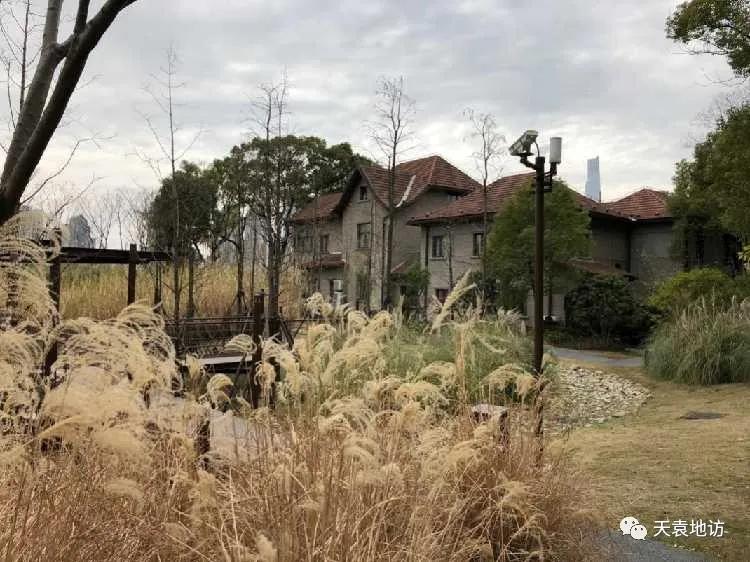 和气生财上海老洋行,上海老字号洋行