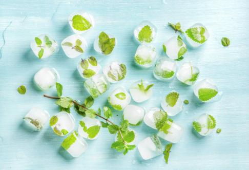 组胺不耐受的表现,肥大细胞释放组胺