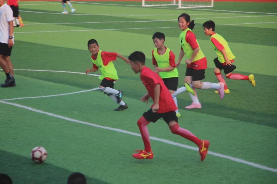 信阳维德青训基地,维德青少年培训