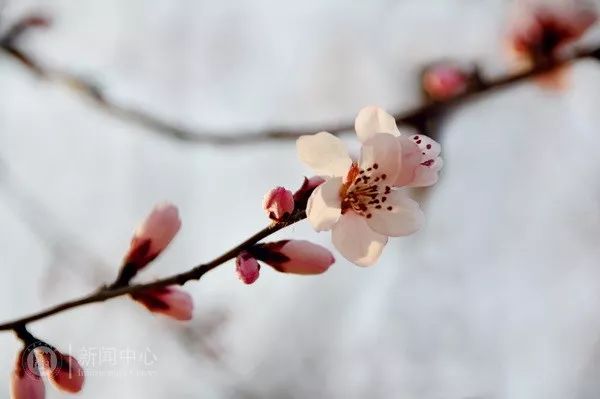 大四去实习对考研有影响吗,实习对考研有影响吗
