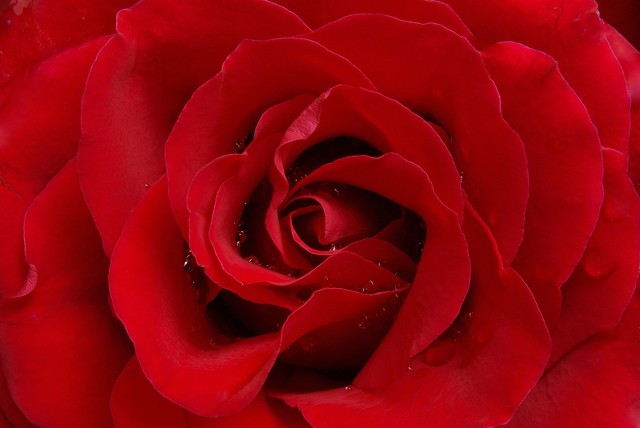 姨妈色到底是什么颜色,姨妈色到底是什么色