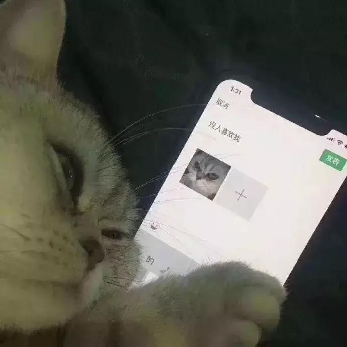 宋妍霏潮流主理人穿搭,王鹤棣桃花坞花衬衫走秀宋妍霏