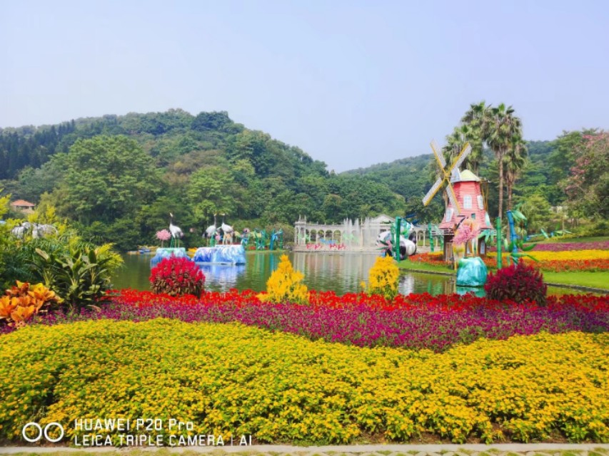 广州云台花园花展,广州云台花园咋样